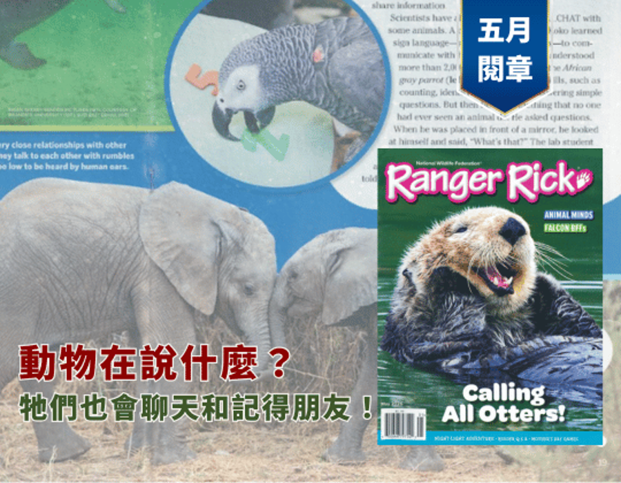 動物在說什麼？牠們也會聊天和記得朋友！